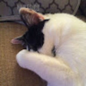 Meet your Posher, Sandra